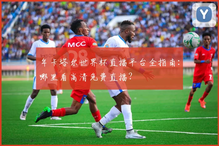 年卡塔尔世界杯直播平台全指南：哪里看高清免费直播？