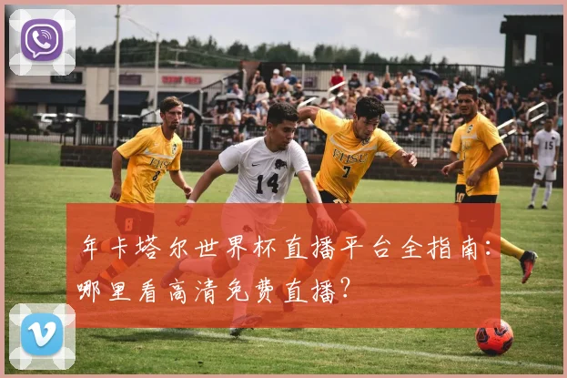 年卡塔尔世界杯直播平台全指南：哪里看高清免费直播？